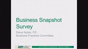 SP19-03 Business Snapshot Summary